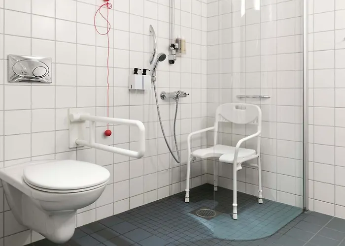 酒店 奥斯陆机场斯堪迪克酒店 4*